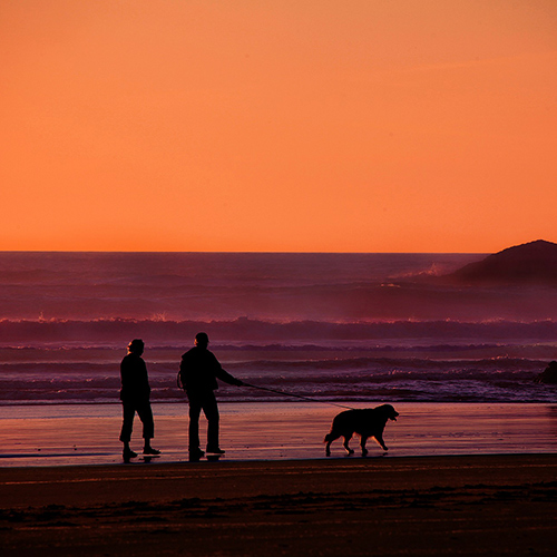 Senior Couple Walking Dog on Beach at Sunset Are Fixed Index Annuities Good San Diego CA