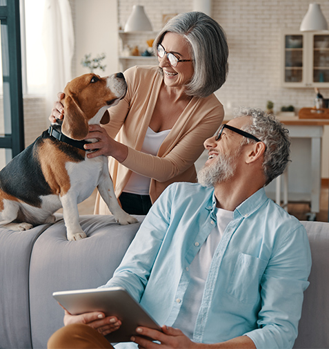 Smiling Couple on Couch with Their Pet Beagle How Annuities Work California